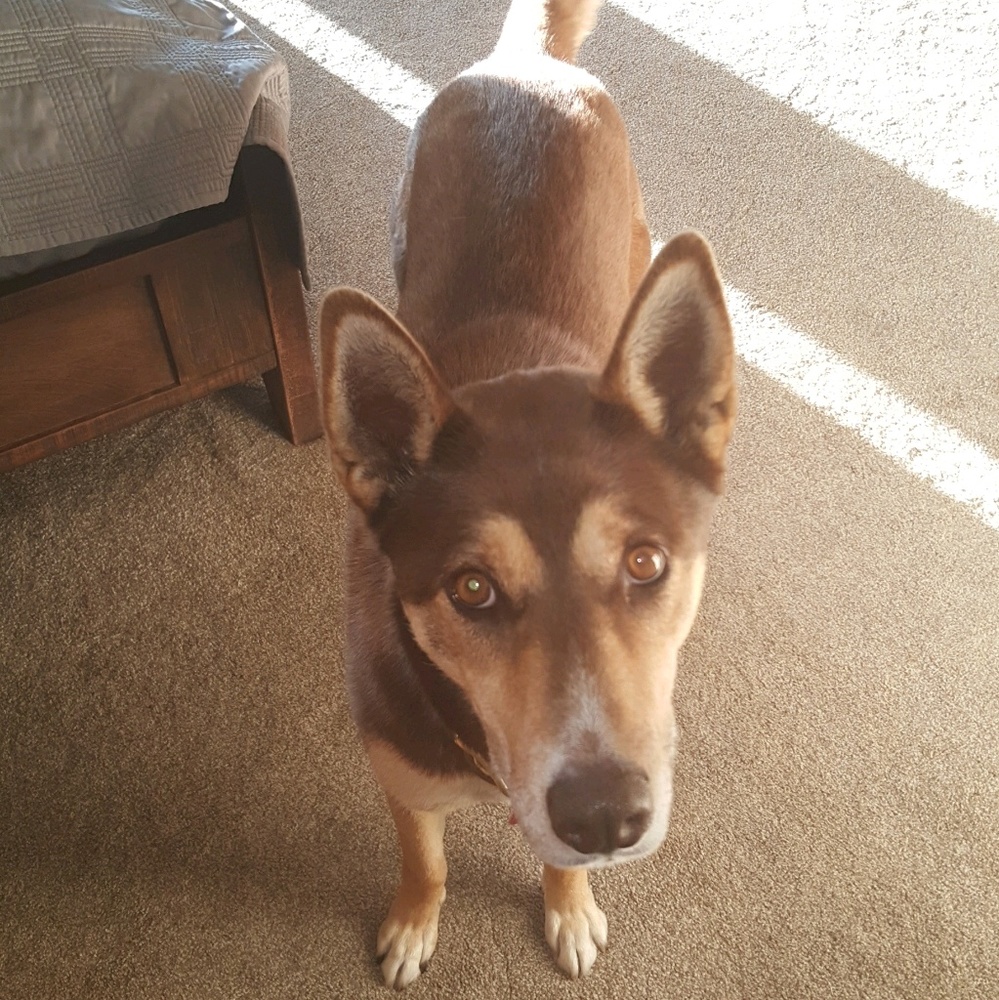 Meet your Posher, Heather